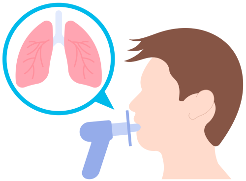 Lung function testing